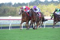 BRIALKA LODGE WINS FIRST UP FOR NEW STABLE