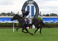 CHAMPAGNE WIN BY SON OF A BRUT