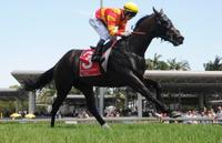 HAPPY SAINT PATRICKS DAY