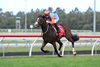 KINGAROY GETS THE WIN TO GIVE MUNCE A TREBLE FOR THE DAY