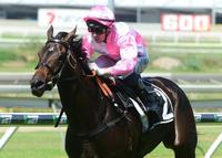 ALL EXPERTEA ALL TOO GOOD ALL THE WAY