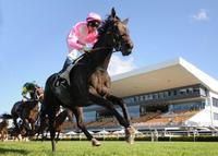 EXPERTEA GIVES THEM ALL A GALLOPING LESSON