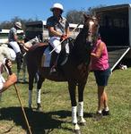 CHRIS MUNCE SECOND CAREER AS A POLO PLAYER