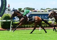 BRUNO BACK TO HIS BEST AT DOOMBEN