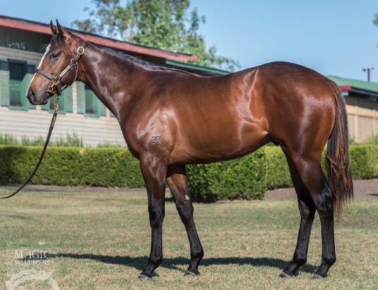 Trusting X Critical Angel