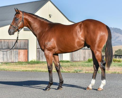 Time For War X Emerald Downs