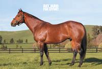 Reward For Effort Filly