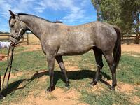 Belluna Back In Work