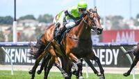 Undefeated Beltoro on Guineas path