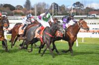 Cru Classe For Wins For Rowdy