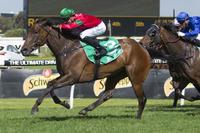 Daysee Doom adds another win to her resume.