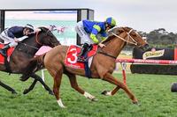 Stephanie Thornton Wins First Metro Melbourne Winner