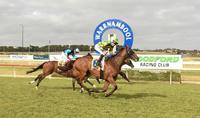 Artie’s Shore finally wins a Woodford Cup