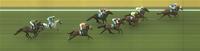 Waldo Leads All The Way For Stylish Win At Kyneton