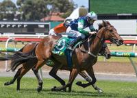 Strong weekend for Thornton pair