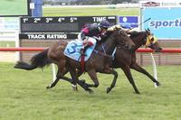 No Masking Win At Mornington