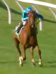 888Racing's VALUE ABBEY is a maiden no more