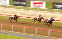 BLUEBLOOD TRISCILLA WIN'S FIRST UP