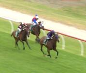 Moshe Pit Gem goes for 2 in a row at Bairnsdale