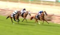 From The Funhouse To The Winner's Stall