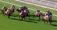 Mare Wins Apres A Freshen