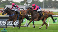Man From Uncle takes out the Group 2 Hobartville Stakes
