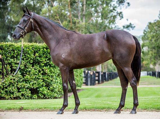 Pierro X Shania Dane