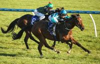 Two In A Row for Elite Tiger