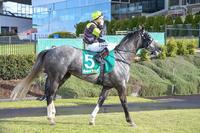 Antagonist Wins 3 In A Row