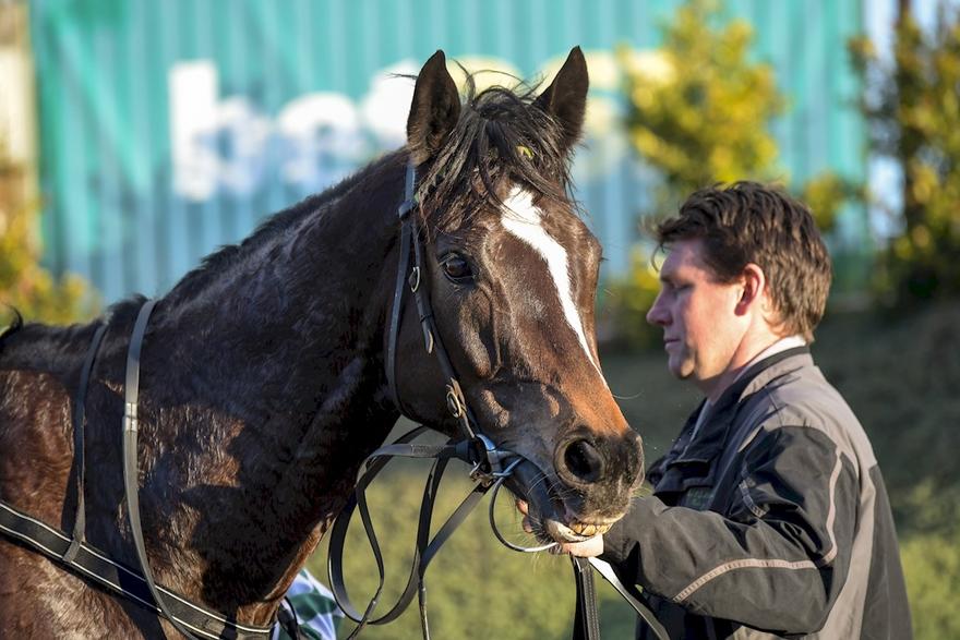 Australian Horse Trainer Dan O'Sullivan Racing