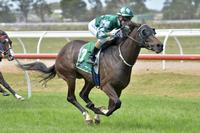 Queuey's Christmas Present