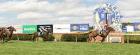 Aurelius Hero kicks off 2018 with a win