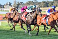 City Win Added to Queuey's Resume