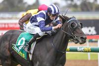 Countess Delta Cracks Her Maiden