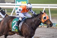 Warrick our Everyday Hero