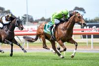 Truly Earns A Start In Melbourne Cup Country Final