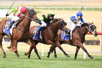 Our Two Little Pocket Rockets Break Their Sandown Curse