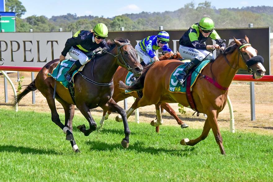 Australia Day Honours For Fine Evader