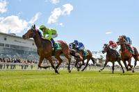 Affair in the Spring