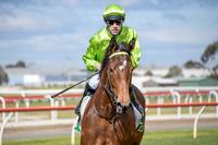 Luckless Filly In Guineas Bid