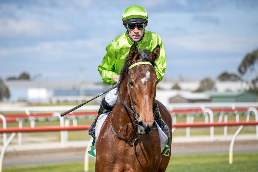 Luckless Filly In Guineas Bid