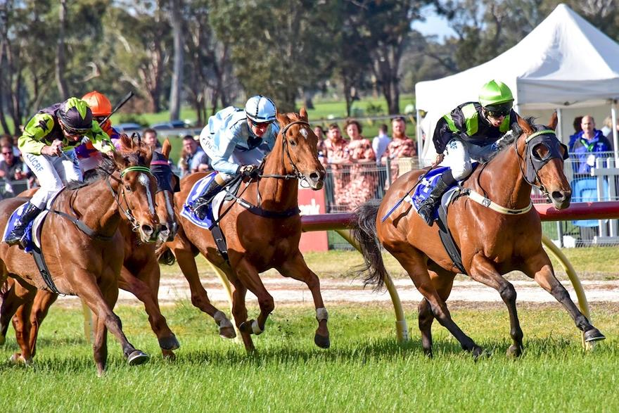 Suprise Win From Valhalla Princess