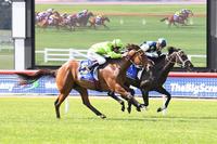 Affair To Remember wins impressively at Sandown