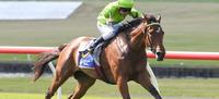 Affair To Remember gains Australasian Oaks start for Dan O'Sullivan