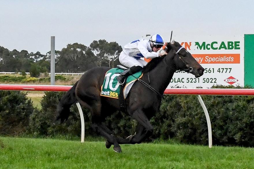 Australian Horse Trainer Dan O'Sullivan Racing
