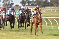 Song Brocade's Convincing Win
