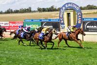 Song Brocade ends the year on a winning note