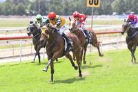 Hawkesbury trainer Mitch Newman showing promising form