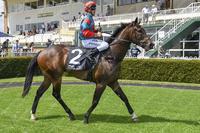 Hawkesbury's Young Guns Claim Gold At Orange