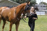 Patience Pays Off For Newman's 'Dainty Filly'